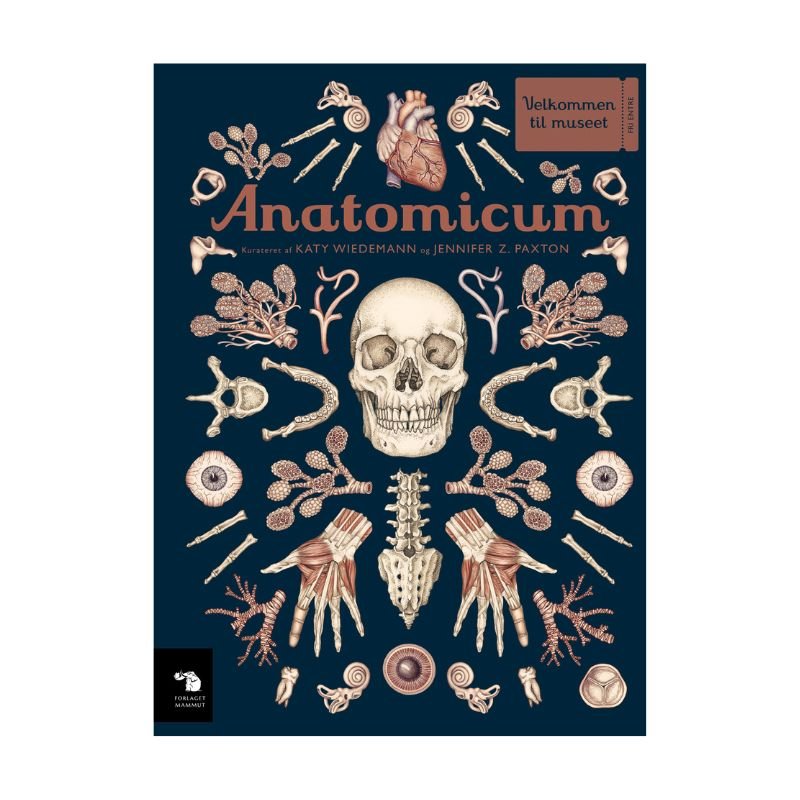 Bog: Anatomicum