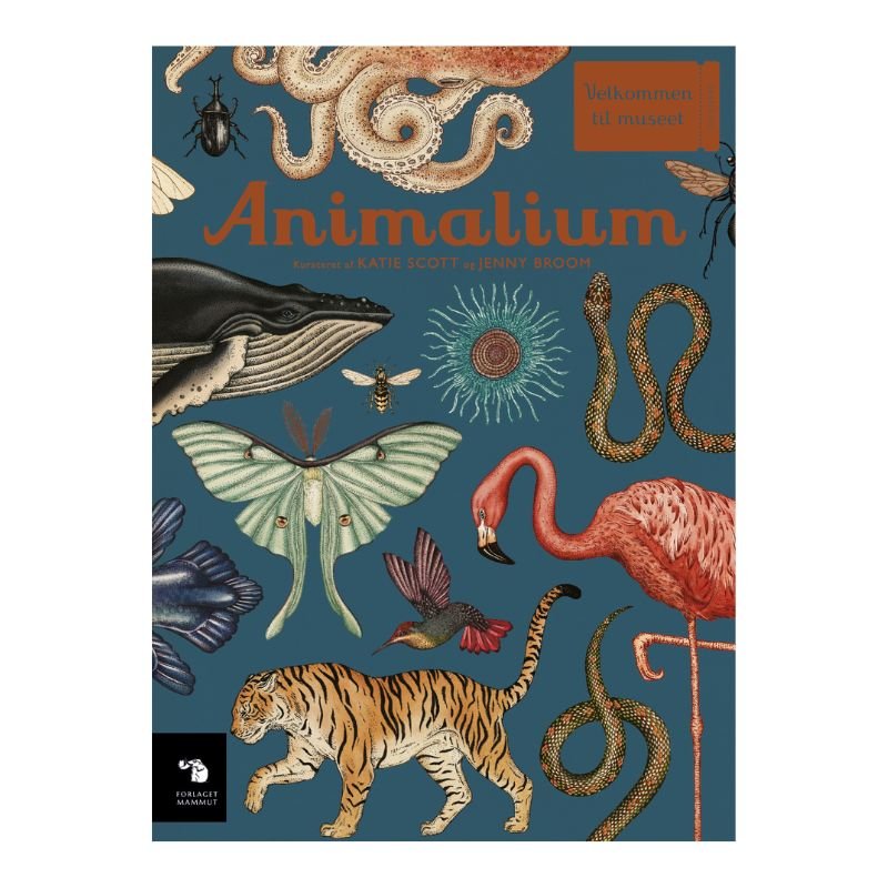 Bog: Animalium