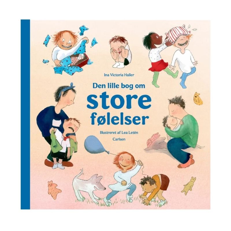 Den lille bog om store flelser