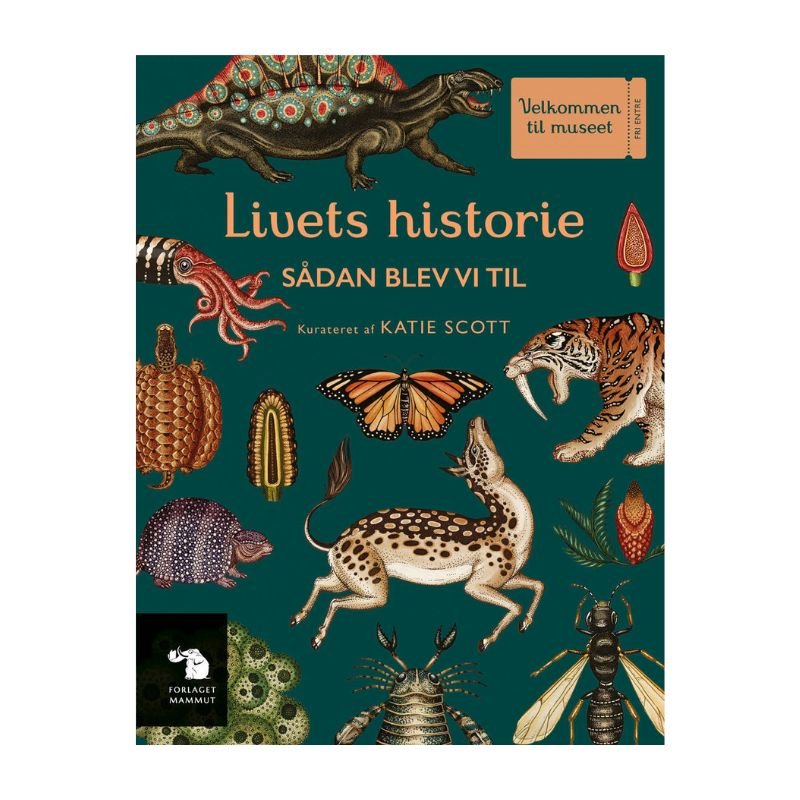 Bog: Livets historie